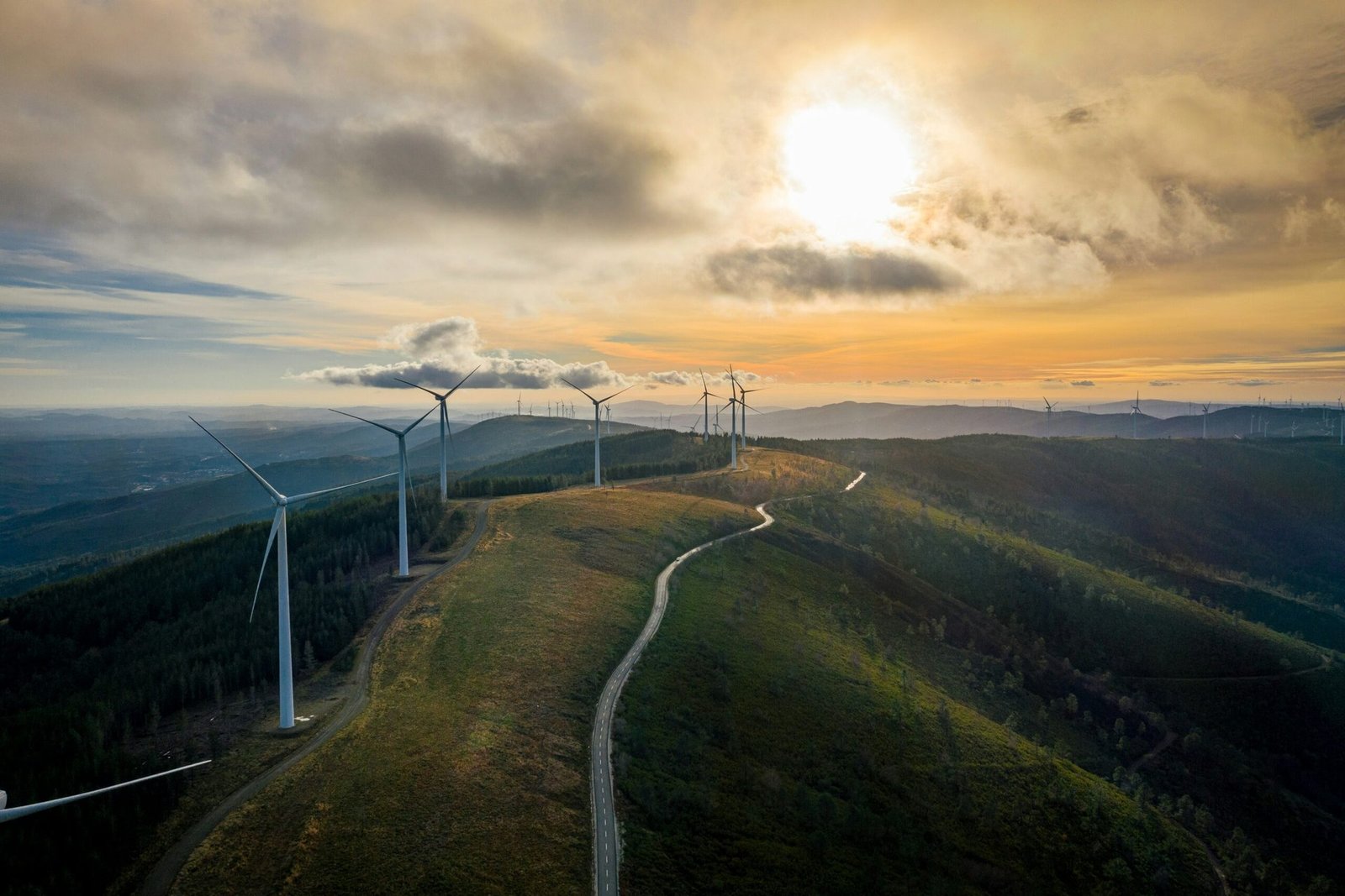 Die Auswirkungen von Windenergie auf die Umwelt in Bielefeld