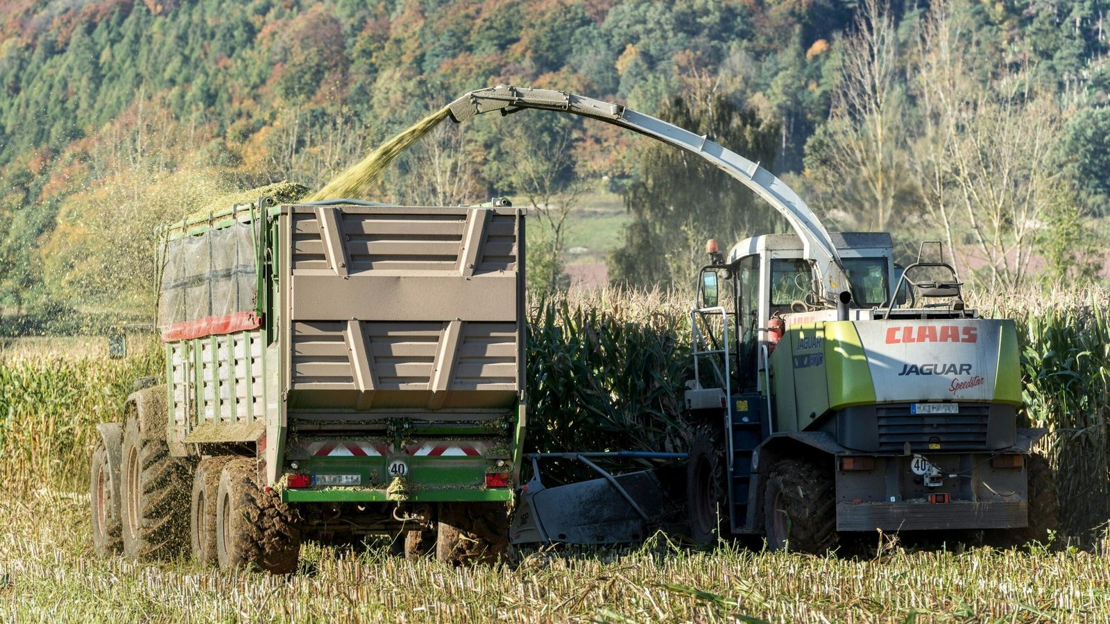 Gesunde Ernte in Bielefeld: Landwirtschaft im Stadtbereich