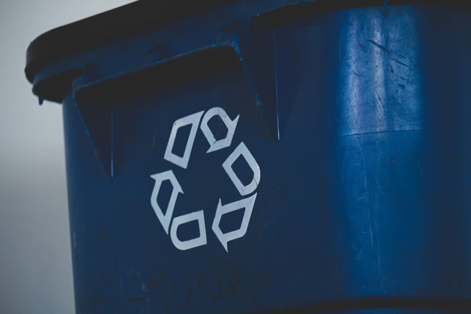 Recycling-Tipps für Zuhause in Bielefeld: So wird Abfallvermeidung zum Kinderspiel
