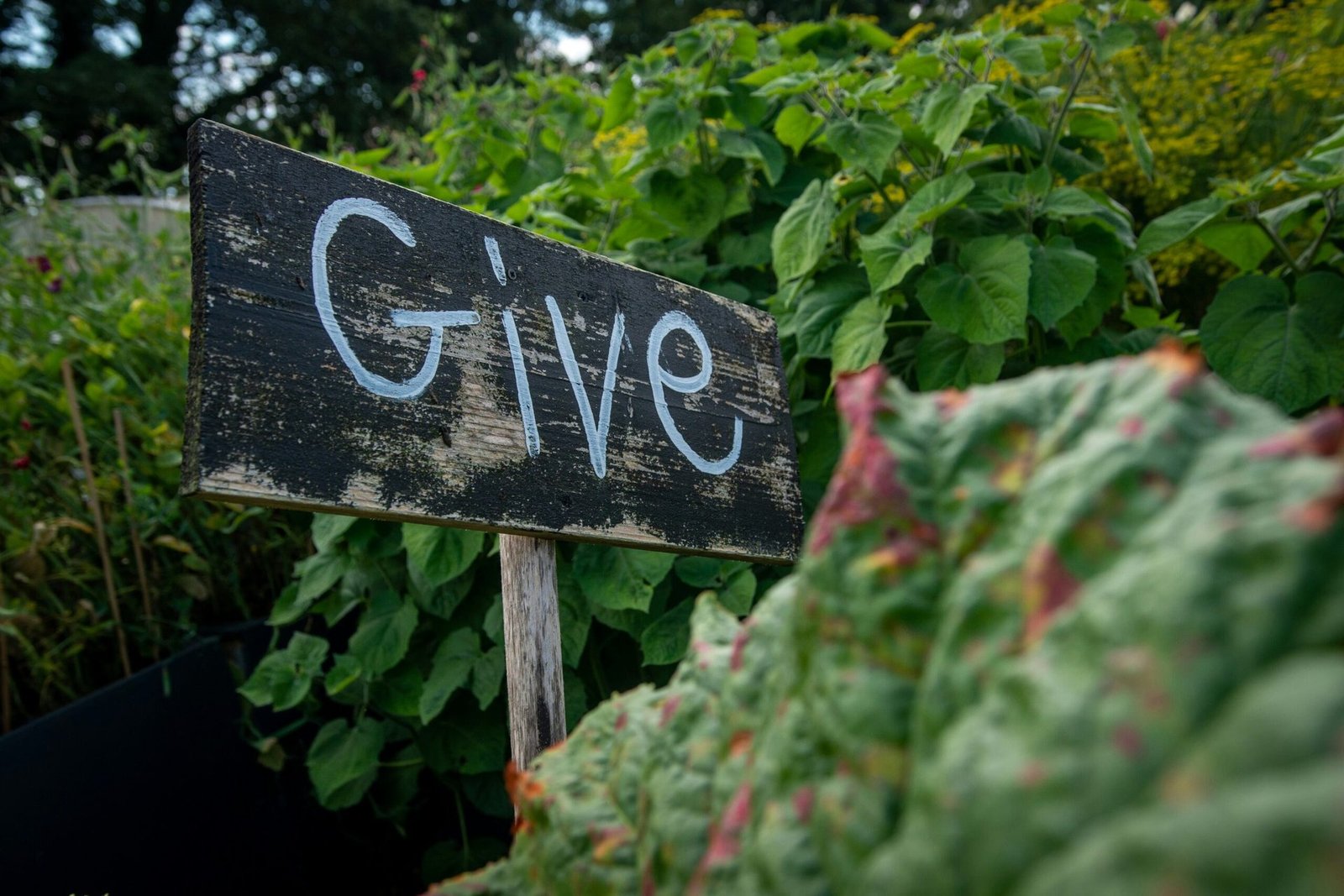 Tipps zur Gründung einer Gemeinschaftsgarteninitiative in Bielefeld