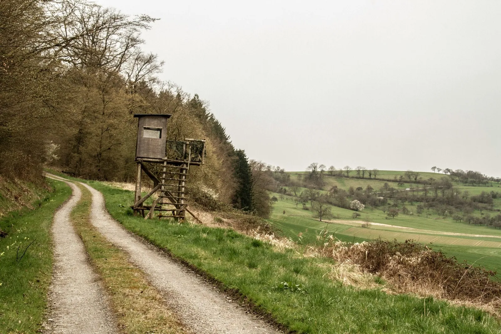 Wildbeobachtung in Bielefeld: Naturerlebnis pur
