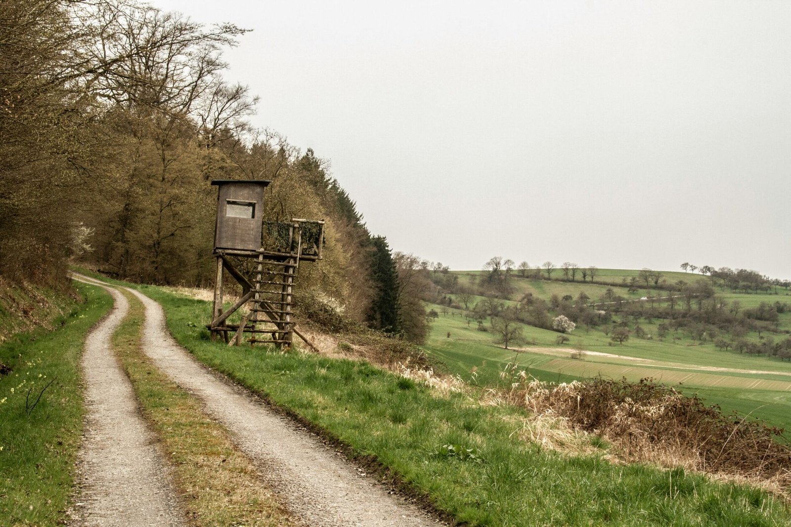 Wildbeobachtung in Bielefeld: Naturerlebnis pur